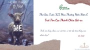 Suy niệm Thứ Sáu Tuần XII Mùa Thường Niên