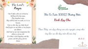 Suy niệm Thứ Tư Tuần XXVII Thường Niên