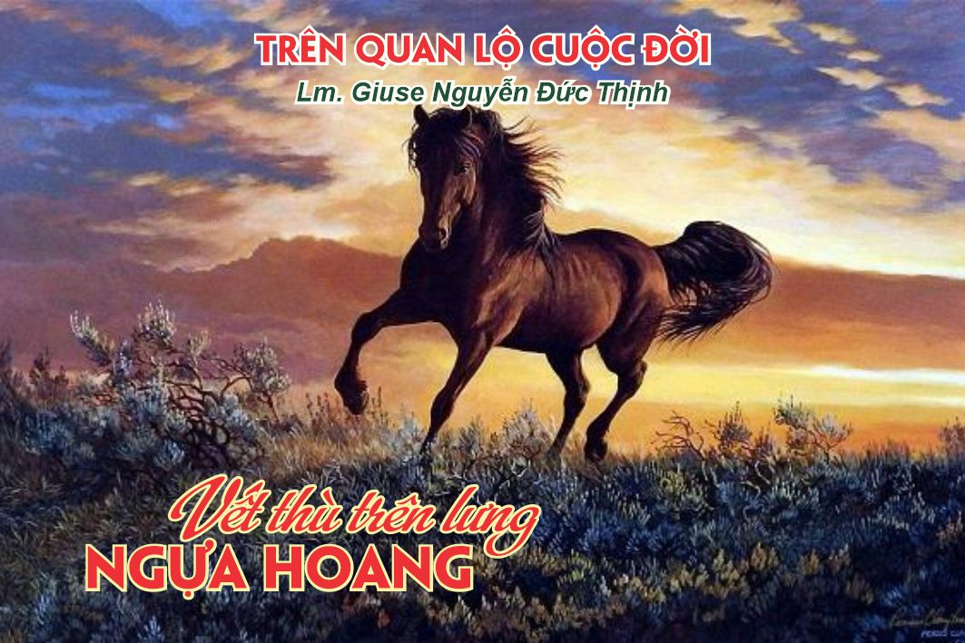 VẾT THÙ TRÊN LƯNG NGỰA HOANG