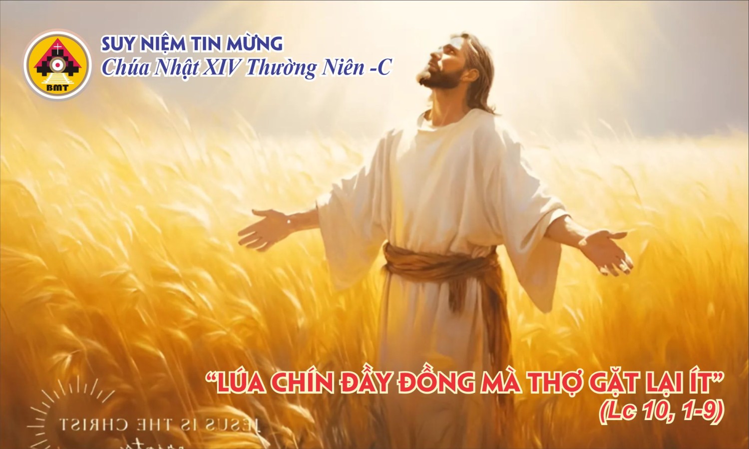 CHIA SẺ LỜI CHÚA CHÚA NHẬT XIV THƯỜNG NIÊN