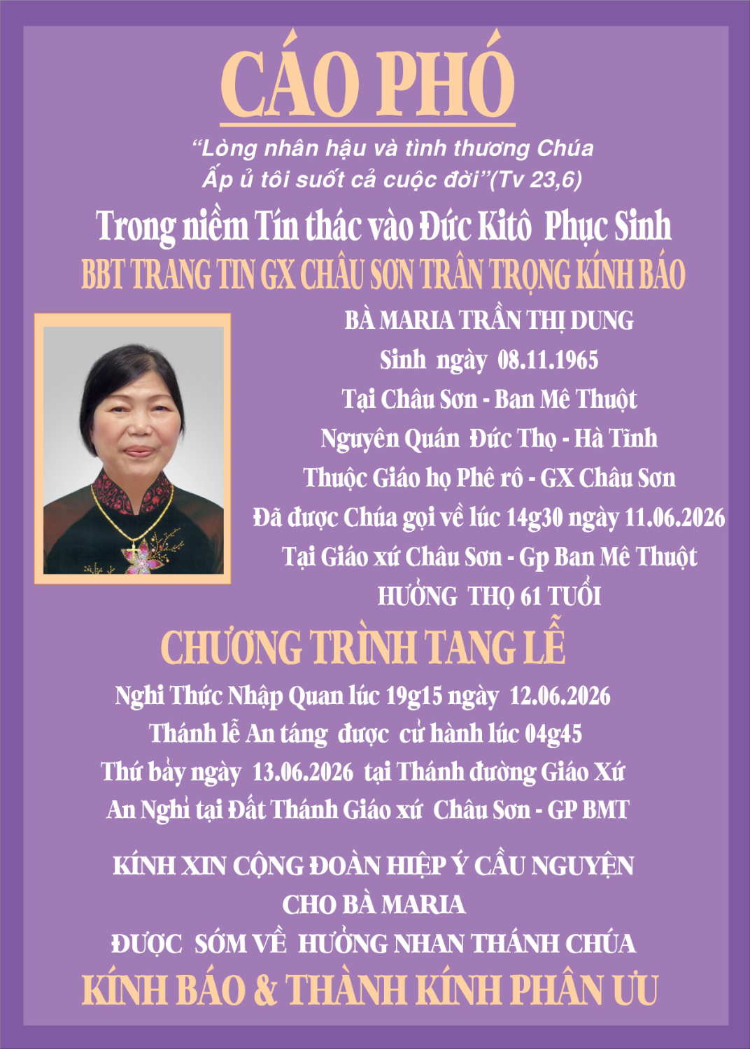 CAO PHO CT