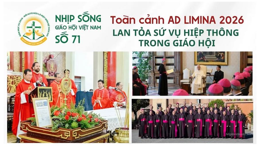 NHỊP SỐNG GIÁO HỘI VIỆT NAM SỐ 71