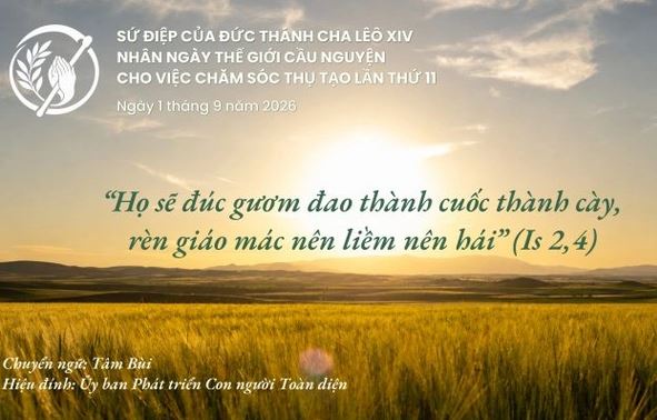 Sứ điệp của ĐTC ngày Thế giới Cầu nguyện cho việc Chăm sóc Thụ tạo lần thứ 11
