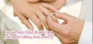 CHÚC MỪNG NGÀY GIAO ƯỚC CHUNG ĐÔI