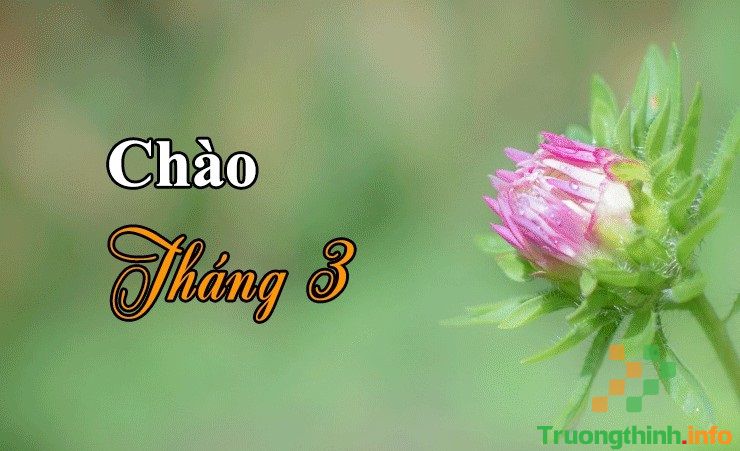 TẢN MẠN THÁNG BA
