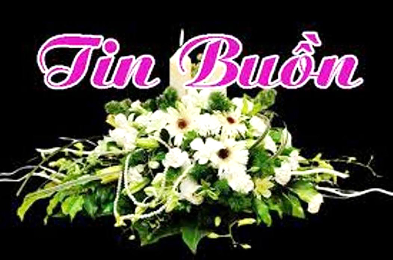 TIN BUON